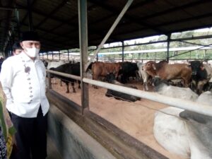 Hasil Kunker Lampung, Mahyeldi Ingin Kembangkan Udang dan Sapi Potong di Sumbar