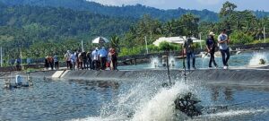 Begini Kata Kadis DLH Sumbar Terkait Usaha Tambak Udang di Ranah Minang