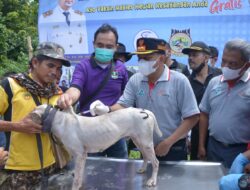 Dalam Rangka Hari Rabies Sedunia 2021 : Pemprov Sumbar Gandeng PORBBI Sumbar Berantas Penyakit Rabies