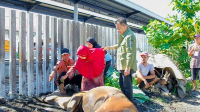 H Beny Saswin Nasrun Bagikan 1000 Paket Daging Qurban Kepada Masyarakat Lubuk Alung